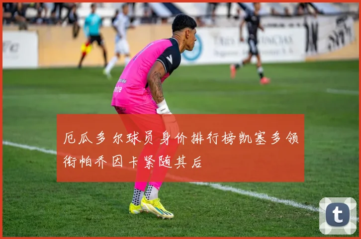 厄瓜多尔球员身价排行榜凯塞多领衔帕乔因卡紧随其后